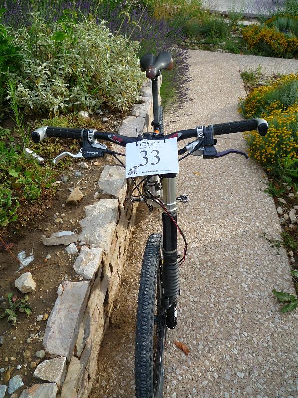 nougalopett (7).JPG